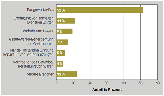 Lieferwagenverkehr nach Branchen, Anteil Fahrleistungen Lieferwagen 2022 in Prozent. Quelle: Bedeutung Lieferfahrzeuge 2023, Bundesamt für Strassen ASTRA