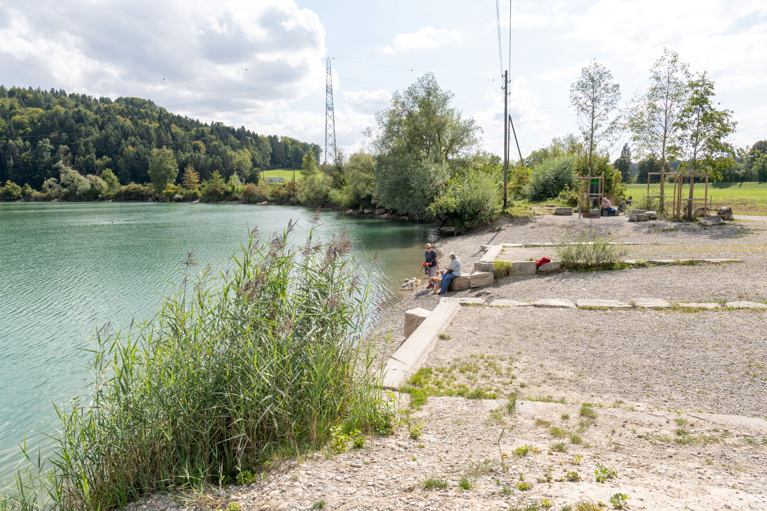 Mühleberg, Rewag, Freifläche (Beispiel See- und Flussufer-Projekt Tiefbauamt Kanton Bern), Bild: B. Devènes, 2021
