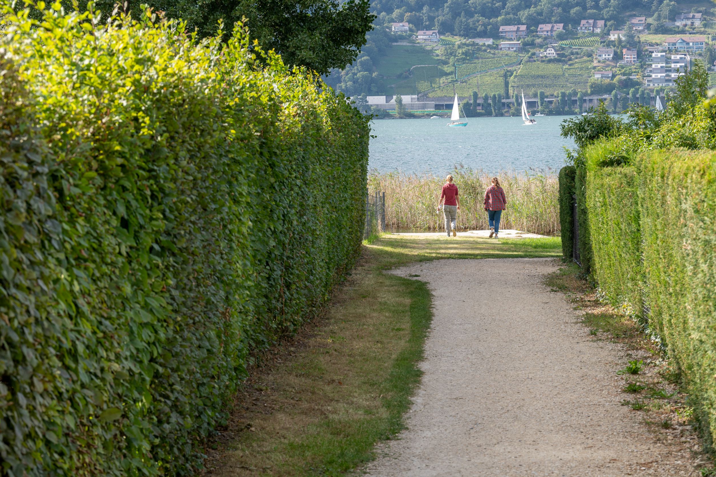 Sutz, Solermattweg-Schlössliweg, Uferweg (Beispiel See- und Flussufer-Projekt Tiefbauamt Kanton Bern), Bild: B. Devènes, 2021Mühleberg, Rewag, Freifläche (Beispiel See- und Flussufer-Projekt Tiefbauamt Kanton Bern), Bild: B. Devènes, 2021