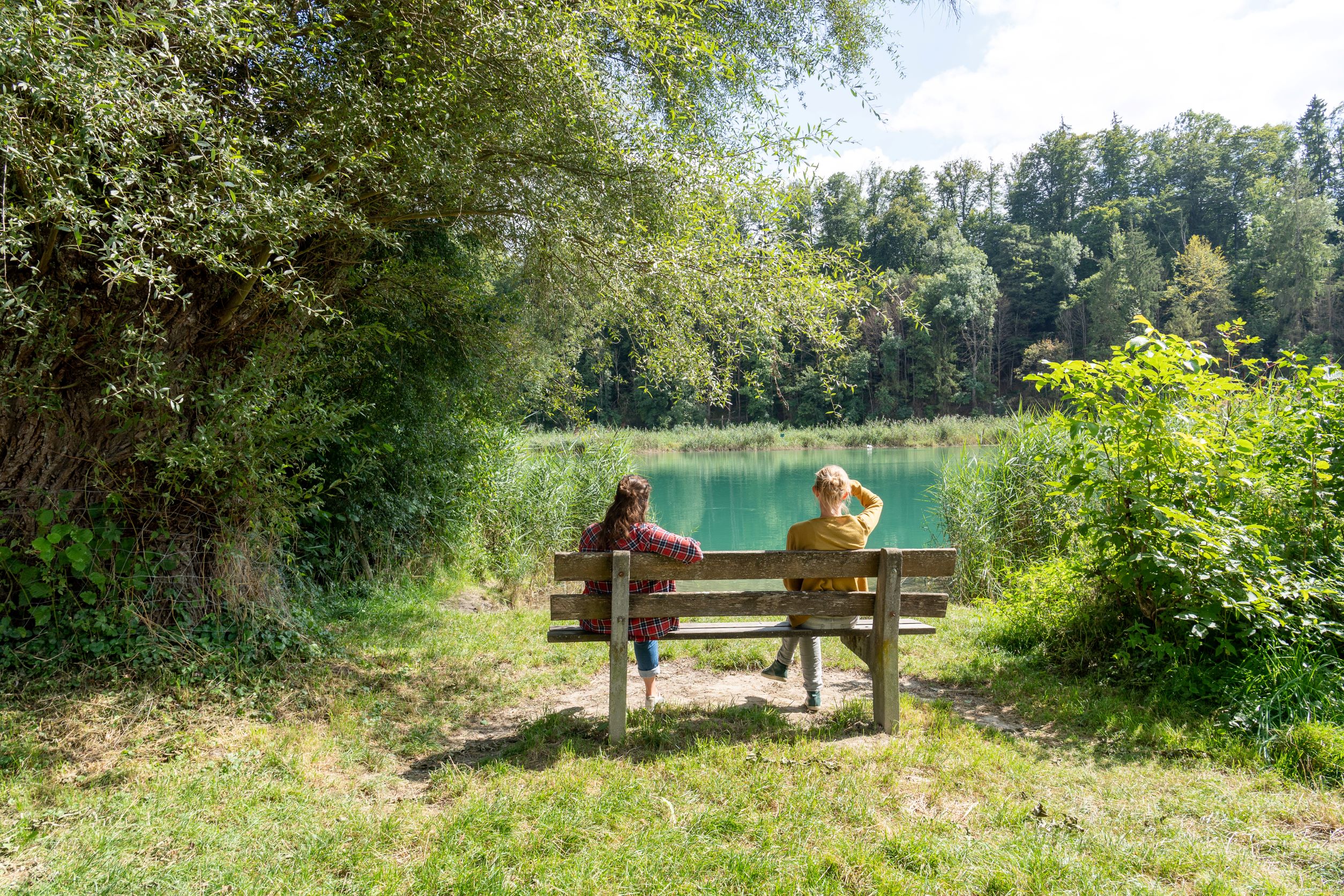 Wohlen, Schlossmatte, Uferweg (Beispiel See- und Flussufer-Projekt Tiefbauamt Kanton Bern), Bild: B. Devènes, 2021Mühleberg, Rewag, Freifläche (Beispiel See- und Flussufer-Projekt Tiefbauamt Kanton Bern), Bild: B. Devènes, 2021