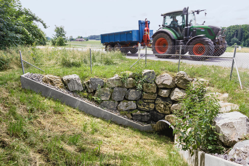 Seeberg - 23.06.2021 Amphibienquerungen zwischen Seeberg und Oberönz auf der der Kantonsstrasse. (BÉATRICE DEVÈNES